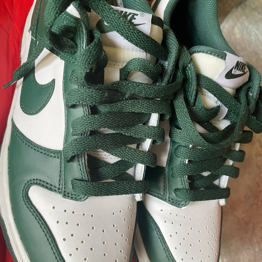 Michigan State Dunk Low 7y